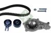 INA 530037530 ремкомплект ГРМ с помпой/ Citroen Berlingo/C3/C4/Xsara 1.6HDi 99&gt;