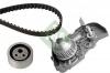 INA 530019130 Комплект ремня ГРМ RENAULT KANGOO 1.4 97- (с помпой)
