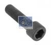 DT 2.62091 Палец ушка рессоры