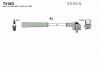 TESLA T410G Ккомплект проводов зажигания