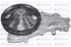 DOLZ R129 Водяной насос