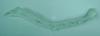 MAZDA BN8V502J1C RETAINER(L),REAR BU