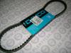 DAYCO 13A0914R Клиновой ремень