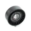 QUATTRO FRENI QF00100247 Ролик натяжителя без кронштейна