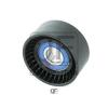 QUATTRO FRENI QF00100253 Ролик натяжителя
