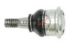 KORTEX KBJ5042 Опора шаровая NISSAN ALMERA/PRIMERA 00- нижн.лев/прав.