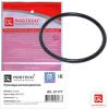 ROSTECO 21177 Кольцо уплотнительное