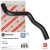 ROSTECO 21238 Патрубок радиатора Ford C-Max, Focus-II 1,8/2,0 Duratec верхний