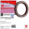 ROSTECO 21309 Сальник вала первичного КПП 48 x 65 x 10 Rosteco