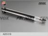 FENOX A22019 Амортизатор задний GAS L/R
