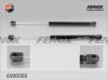 FENOX A906009 Амортизатор багажника