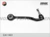 FENOX CA11401 Рычаг передний нижний правый задний BMW X5 00- CA11401