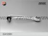 FENOX CA12201 Рычаг независимой подвески колеса, подвеска колеса