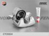 FENOX CTC6024 Комплект корпуса скобы тормоза
