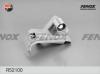 FENOX R52100 Натяжитель ремня, клиновой зубча