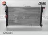 FENOX RC00123 Радиатор охлаждения сборный