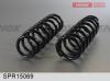 FENOX SPR15069 Пружина задняя