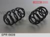 FENOX SPR19009 Пружина (2шт. в упаковке, цена за 1шт.) / SPR19009
