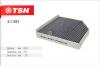 TSN 9.7.893 Фильтр салона угольный
