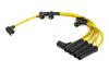 CARGEN 212133707080LP Провода высоковольтные 21213 (LPG) Cargen
