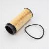 GREEN FILTER KK0119F KK0119F_фильтр. элемент топлива!/ Iveco Daily