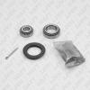 HAFT LH0216 LH0216_к-кт подшипника ступицы задн.!\ Daewoo Espero 93-99/Lanos 97&gt;