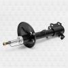 TORR DH1117R Амортизатор задний GAS R