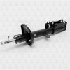 TORR DH1352R Амортизатор задний,газовый