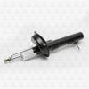 TORR DV1136L Амортизатор передний GAS L