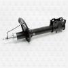 TORR DV1175 Амортизатор передний,газовый