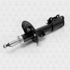 TORR DV1184R Амортизатор передний,газовый