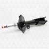 TORR DV1195R Амортизатор передний GAS R