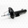 TORR DV1222R Амортизатор передний GAS R