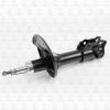 TORR DV1381L Амортизатор передний GAS L