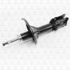 TORR DV1381R Амортизатор передний GAS R
