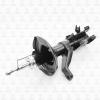 TORR DV1519R Амортизатор передний GAS R