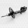 TORR DV1602L Амортизатор передн. GAS L