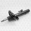 TORR DV1618R Амортизатор передний GAS R