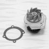FREEZ KP0202 Водяная помпа FIAT Punto, Palio 1.2i-1.4i 99&gt;  KP0202