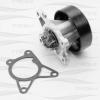 FREEZ KP0228 KP0228_насос водяной!\ Nissan X-Trail 07&gt;