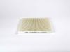 BIG FILTER GB9964 Фильтр салонный NISSAN MURANO/TEANA VQ35DE/QR25DE