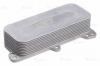 LUZAR LOC1803 LOC 1803_радиатор масляный!\ VW Transporter 03&gt;/Touareg 03&gt;