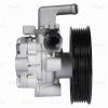 LUZAR LPS0804 Насос гидроусилителя Hyundai Tucson (04-)/Kia Sportage II (04-) 2.0CRDi (LPS 0804)