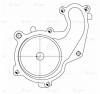 LUZAR LWP1006 LWP 1006_помпа!\ Ford Focus I 98&gt;/Focus II 05&gt;