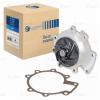 LUZAR LWP1007 LWP 1007_помпа!\ Ford Mondeo I/II/III 93&gt;/Jaguar X-Type 01&gt;