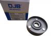 DJB EB300302 Ролик натяжителя приводного ремня