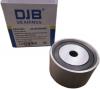 DJB EB300591 Ролик обводной ремня ГРМ