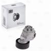 TRIALLI CMS1604 CMS 1604_ролик ГРМ с механизмом натяжения!\ Fiat Ducato 2.3 06&gt;
