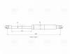 TRIALLI GS2021 Амортизатор крышки багажника Peugeot 307 00- хетч. Trialli