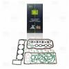 TRIALLI GZ 101 7025 Прокладки ДВС дв.405 полный (пробка) TRIALLI